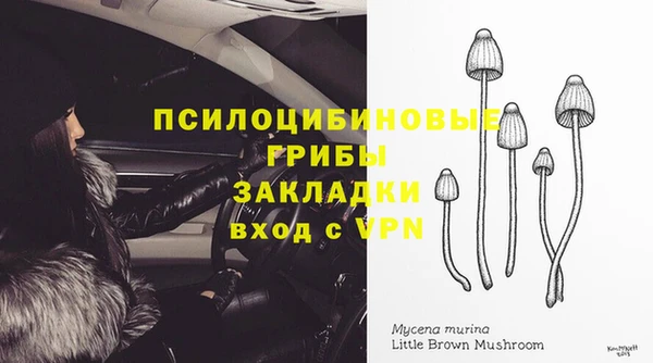 амфетамин Ладушкин